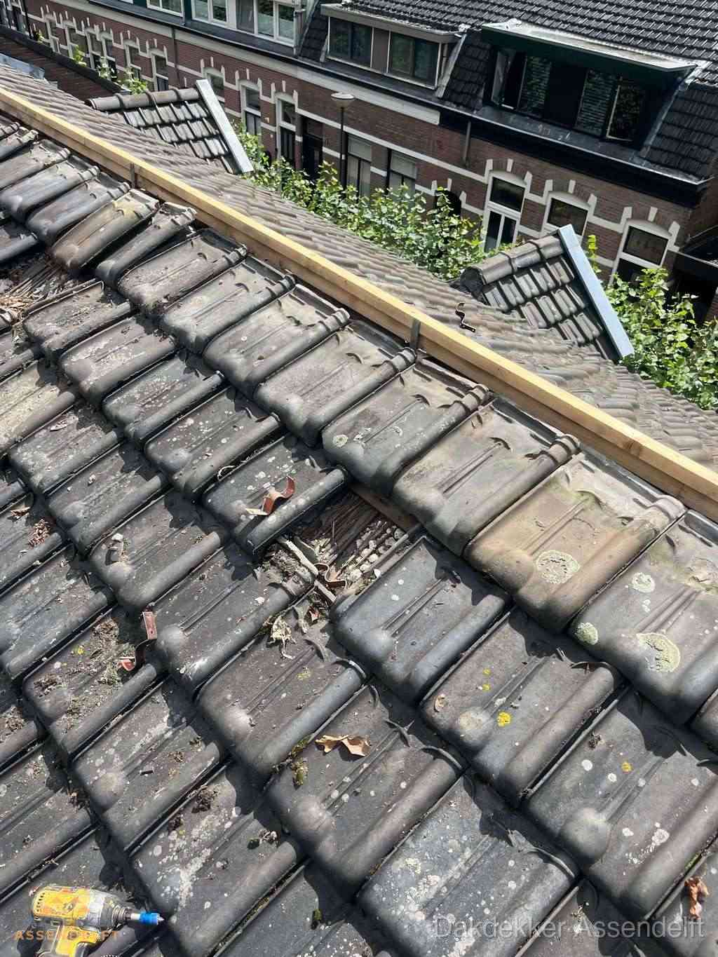 Dakonderhoud Assendelft Dakonderhoud Assendelft